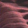 Shadows - sleeve detail