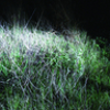 Triosk – The Headlight Serenade (Special Edition) - sleeve Triosk – The Headlight Serenade (Special Edition) - sleeve